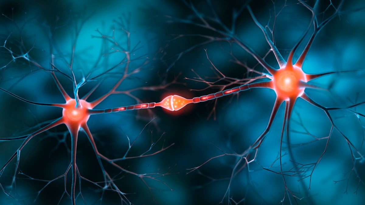 USC researchers pursuing novel Alzheimer&rsquo;s drug development